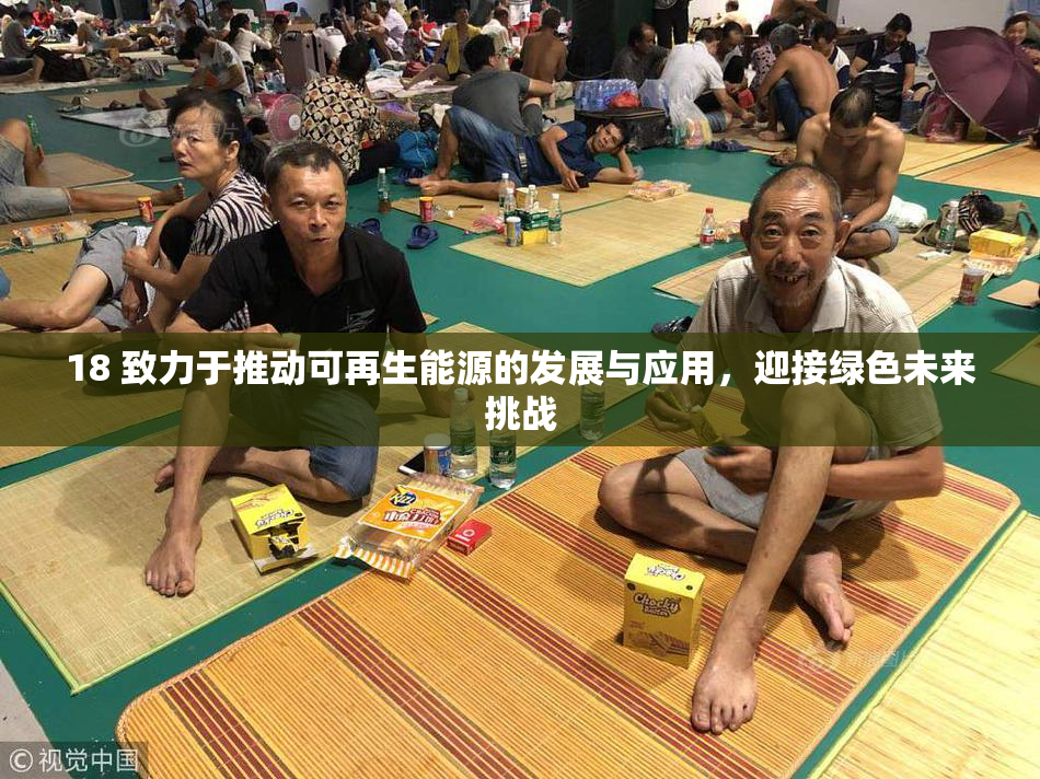 18 致力于推动可再生能源的发展与应用，迎接绿色未来挑战