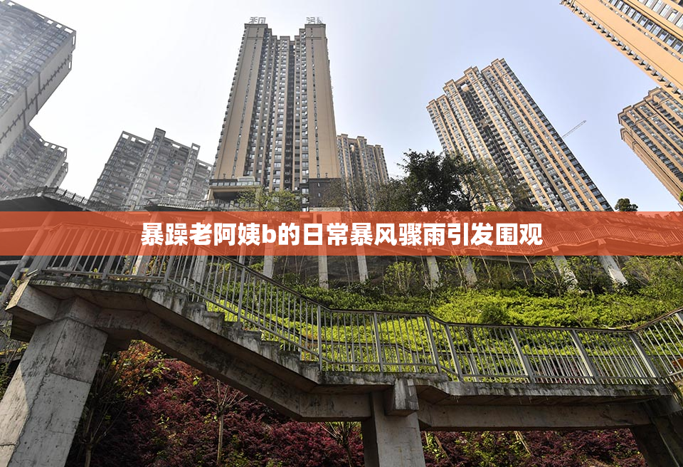 暴躁老阿姨b的日常暴风骤雨引发围观