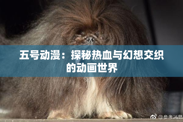 五号动漫：探秘热血与幻想交织的动画世界
