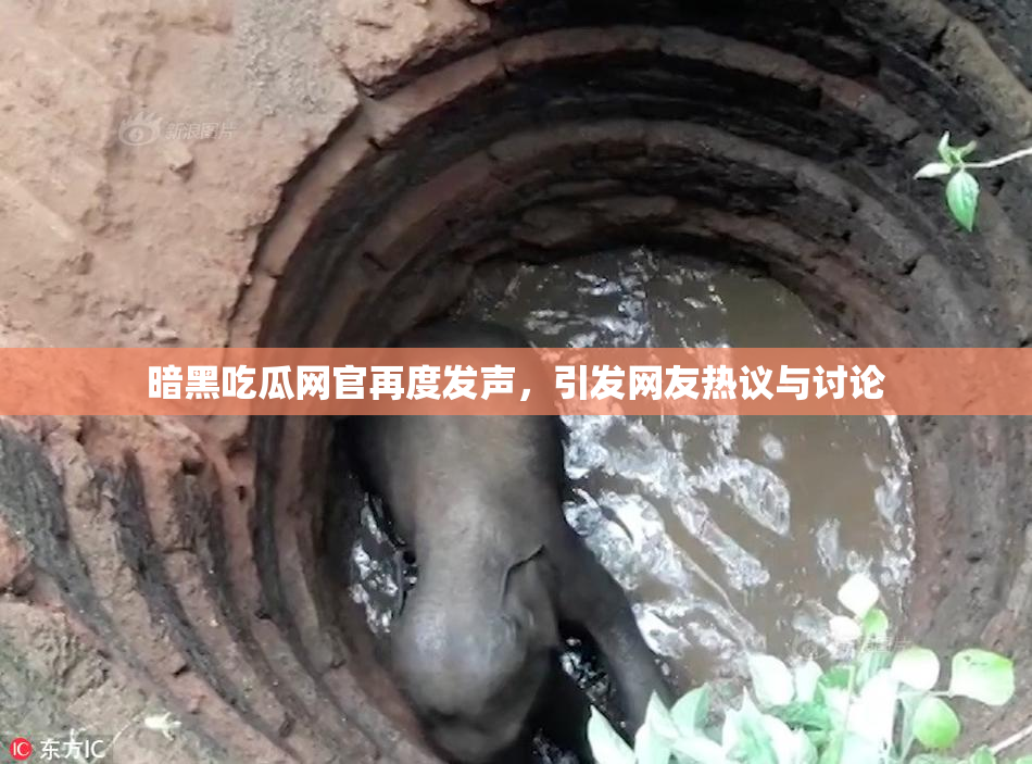 暗黑吃瓜网官再度发声，引发网友热议与讨论