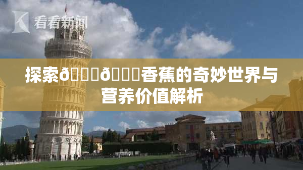 探索🔞🔞香蕉的奇妙世界与营养价值解析
