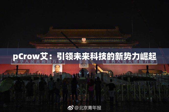 pCrow艾：引领未来科技的新势力崛起
