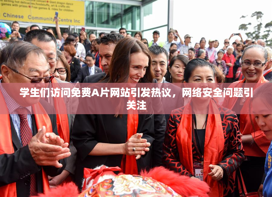 学生们访问免费A片网站引发热议，网络安全问题引关注