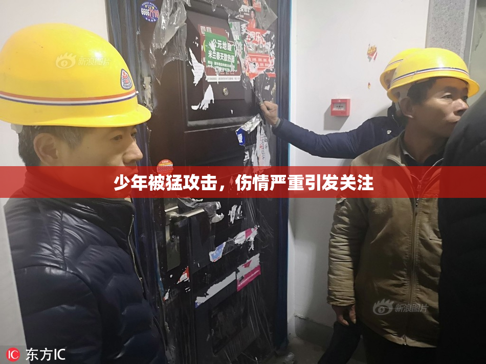 少年被猛攻击，伤情严重引发关注