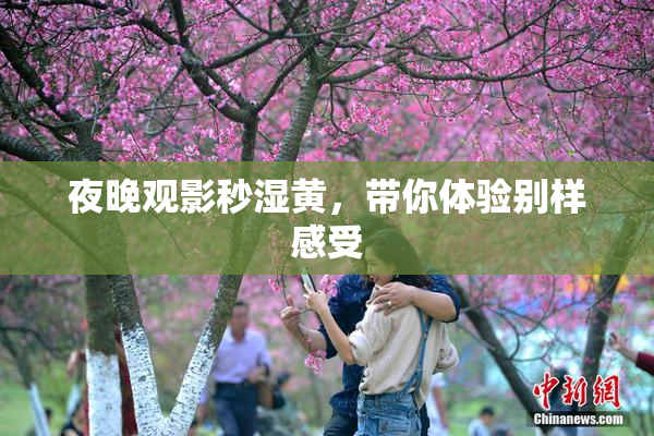 夜晚观影秒湿黄，带你体验别样感受