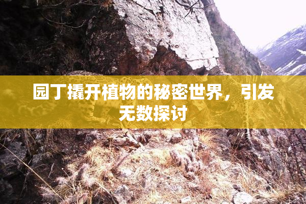 园丁撬开植物的秘密世界，引发无数探讨
