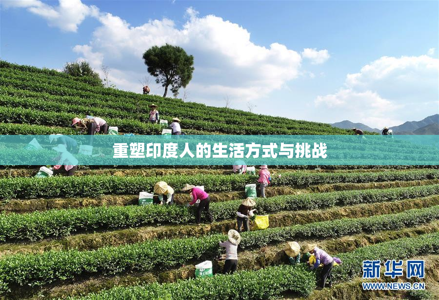 重塑印度人的生活方式与挑战