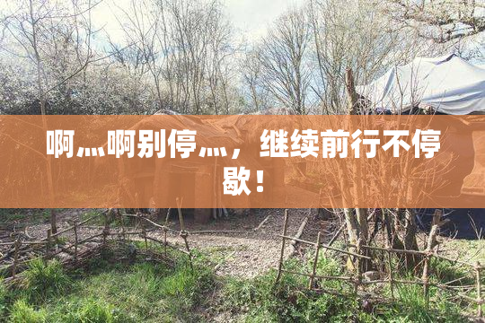 啊灬啊别停灬，继续前行不停歇！