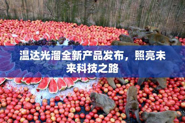 温达光溜全新产品发布，照亮未来科技之路