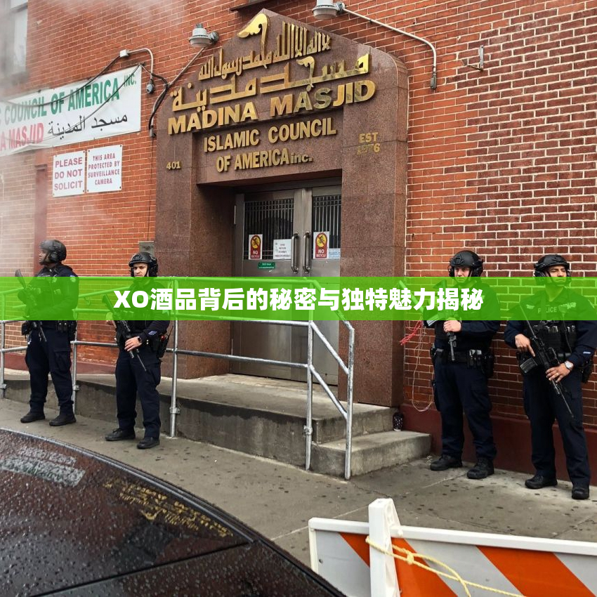 XO酒品背后的秘密与独特魅力揭秘