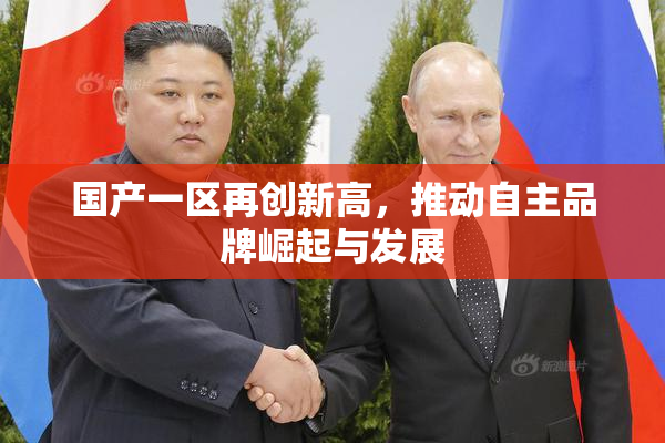 国产一区再创新高，推动自主品牌崛起与发展