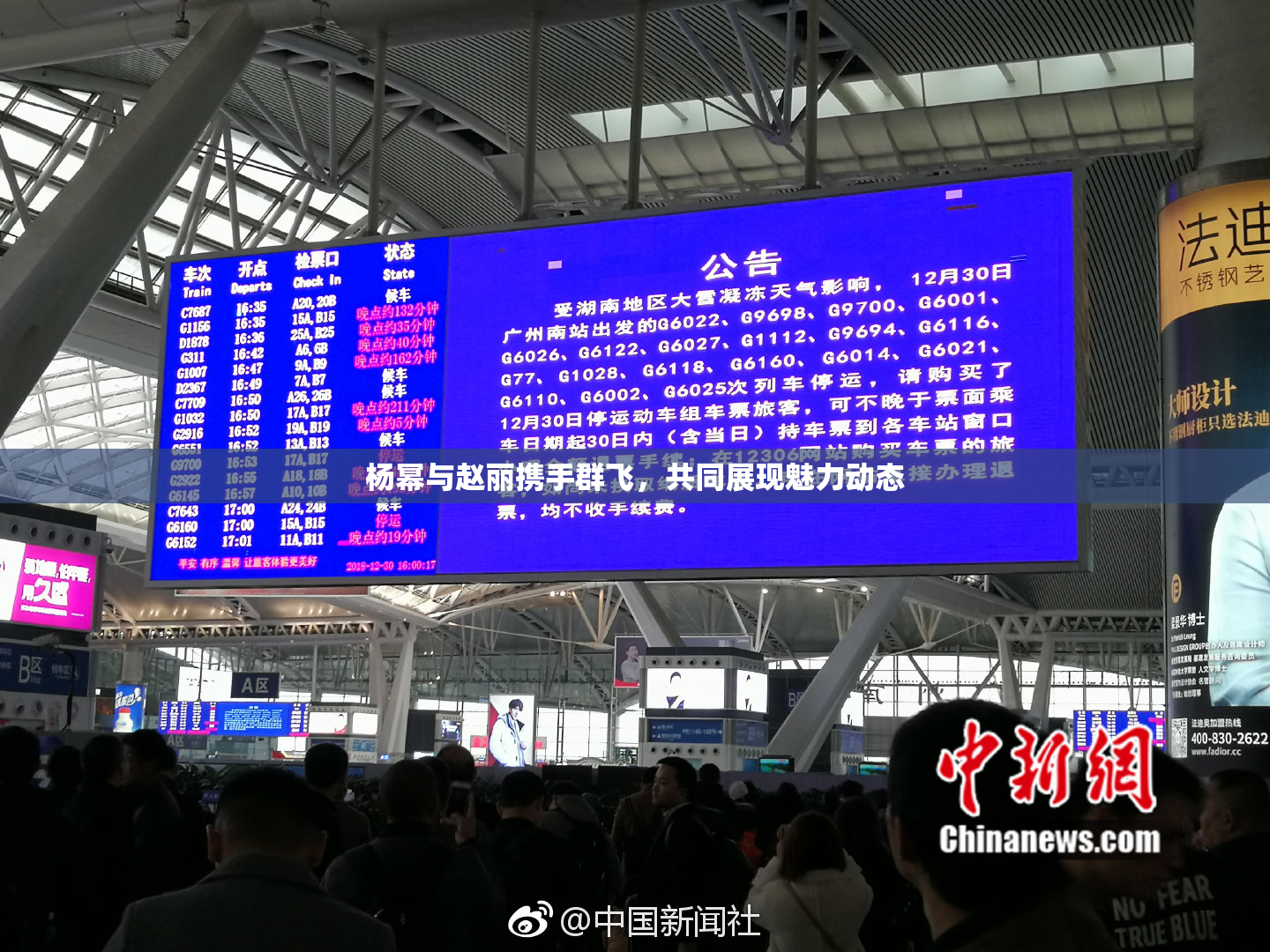 杨幂与赵丽携手群飞，共同展现魅力动态