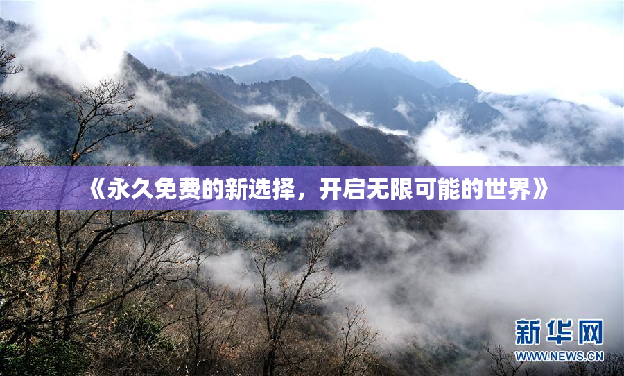 《永久免费的新选择，开启无限可能的世界》