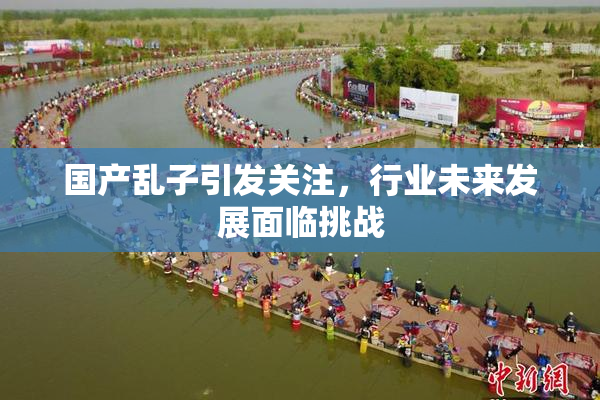 国产乱子引发关注，行业未来发展面临挑战