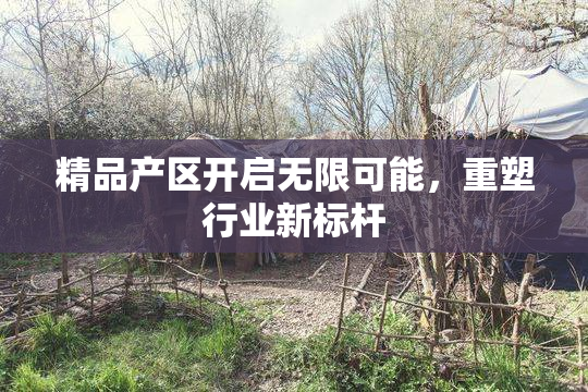 精品产区开启无限可能，重塑行业新标杆