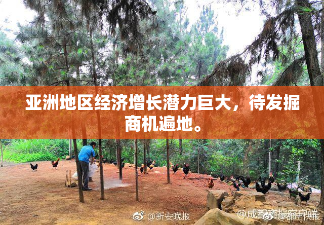 亚洲地区经济增长潜力巨大，待发掘商机遍地。