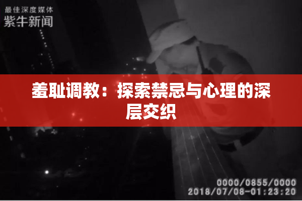 羞耻调教：探索禁忌与心理的深层交织