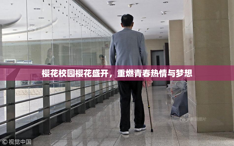樱花校园樱花盛开，重燃青春热情与梦想