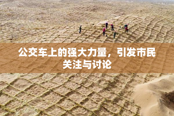 公交车上的强大力量，引发市民关注与讨论