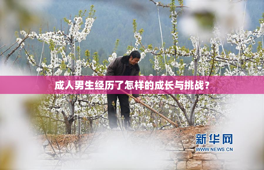 成人男生经历了怎样的成长与挑战？