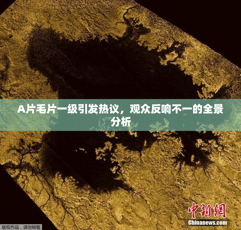A片毛片一级引发热议，观众反响不一的全景分析