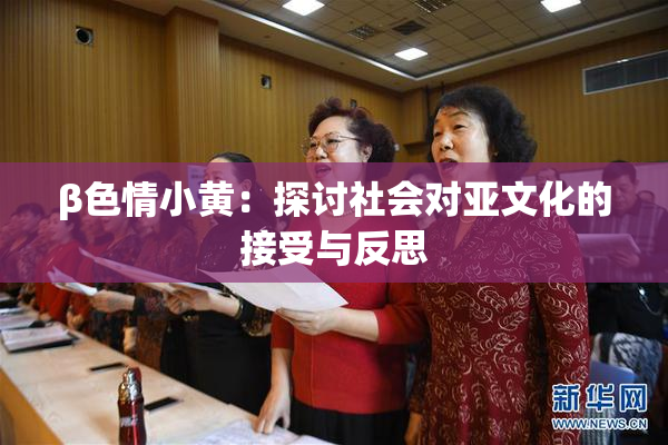 β色情小黄：探讨社会对亚文化的接受与反思