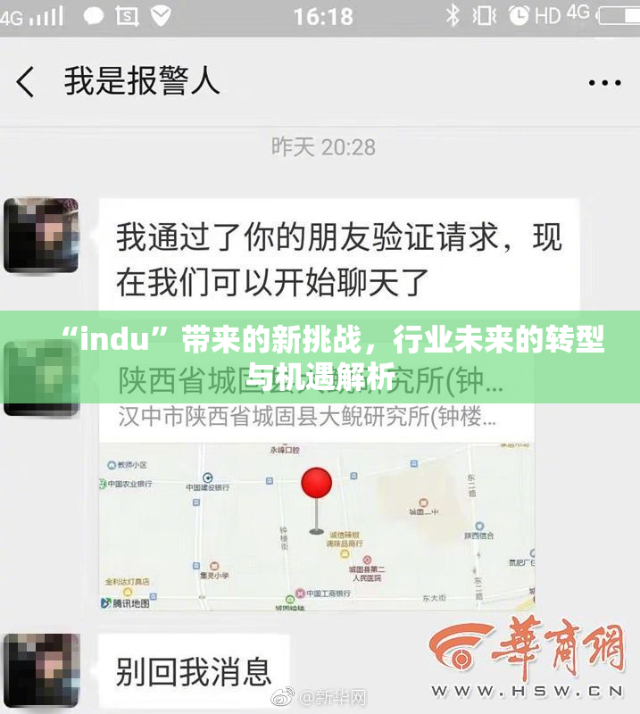 “indu”带来的新挑战，行业未来的转型与机遇解析