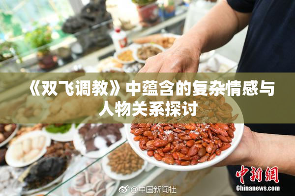 《双飞调教》中蕴含的复杂情感与人物关系探讨