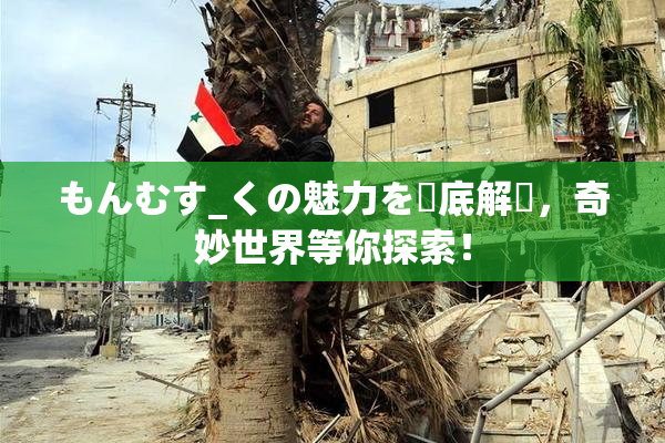 もんむす_くの魅力を徹底解説，奇妙世界等你探索！