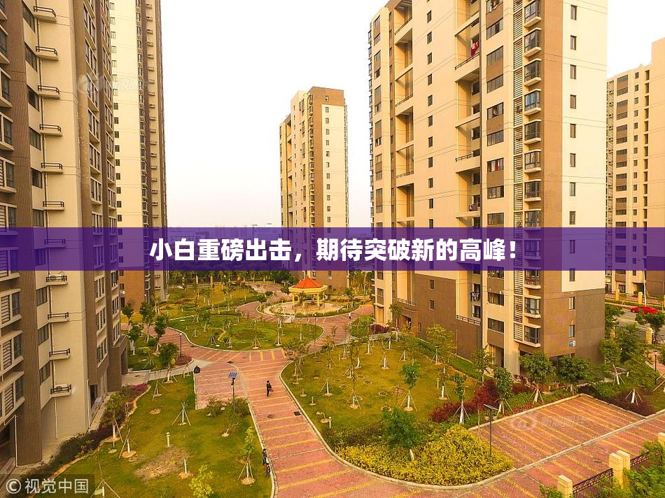 小白重磅出击，期待突破新的高峰！