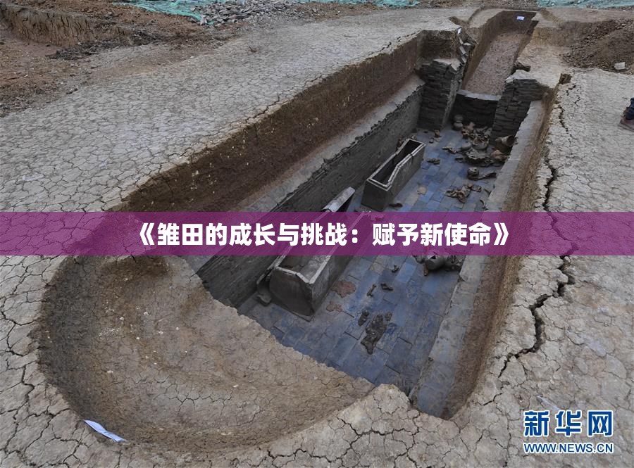《雏田的成长与挑战：赋予新使命》