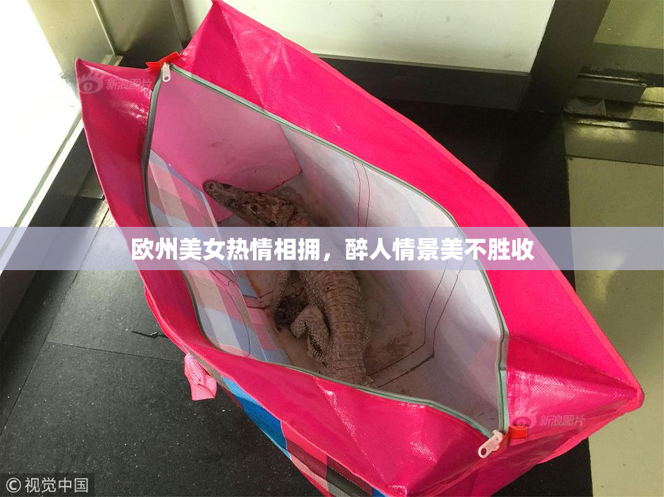欧州美女热情相拥，醉人情景美不胜收