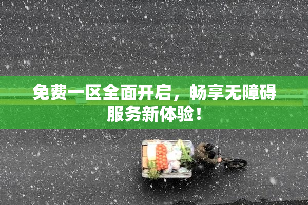 免费一区全面开启，畅享无障碍服务新体验！