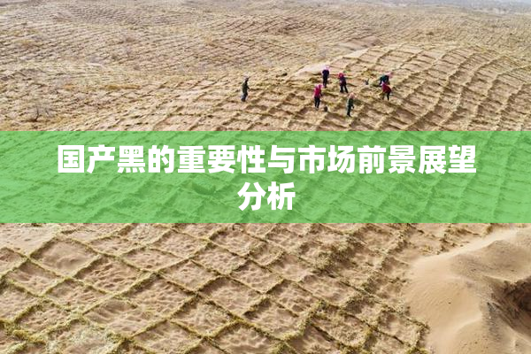 国产黑的重要性与市场前景展望分析