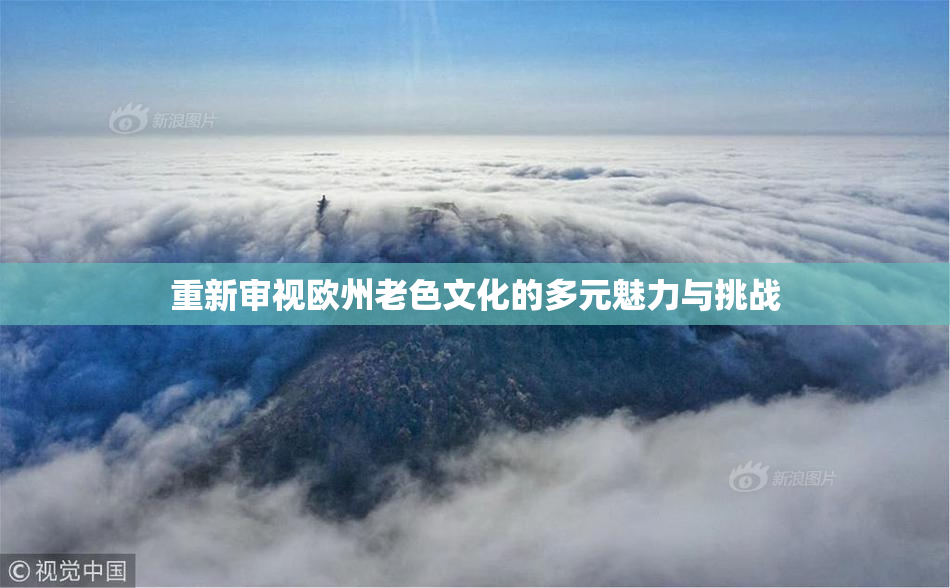 重新审视欧州老色文化的多元魅力与挑战