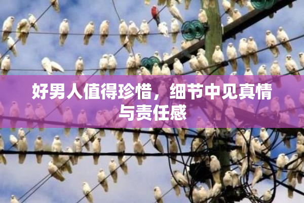 好男人值得珍惜，细节中见真情与责任感