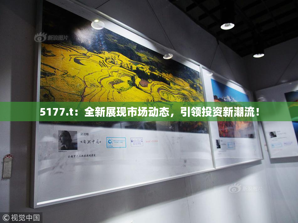 5177.t：全新展现市场动态，引领投资新潮流！