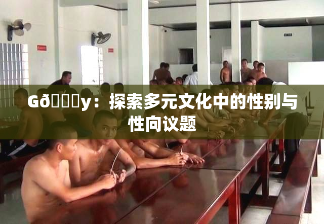 G🈚y：探索多元文化中的性别与性向议题