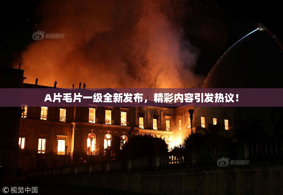 A片毛片一级全新发布，精彩内容引发热议！