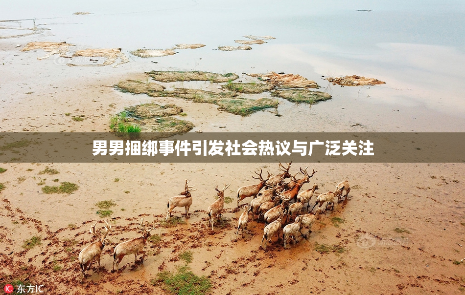 男男捆绑事件引发社会热议与广泛关注