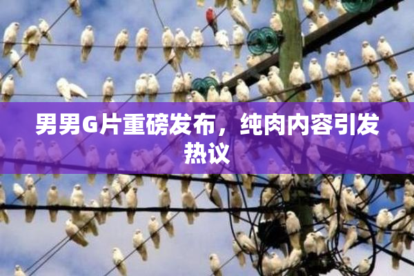 男男G片重磅发布，纯肉内容引发热议