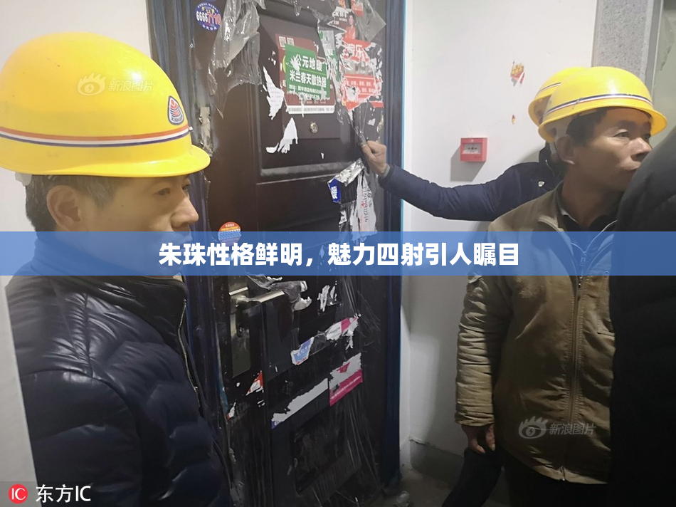朱珠性格鲜明，魅力四射引人瞩目