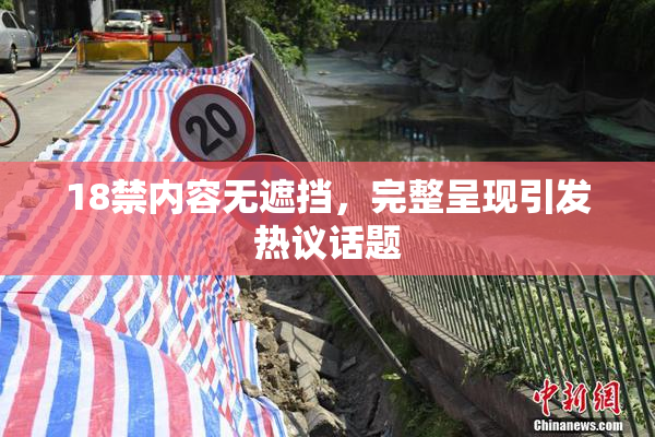 18禁内容无遮挡，完整呈现引发热议话题
