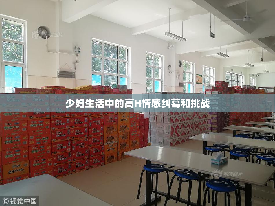 少妇生活中的高H情感纠葛和挑战