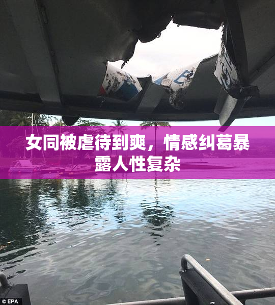 女同被虐待到爽，情感纠葛暴露人性复杂