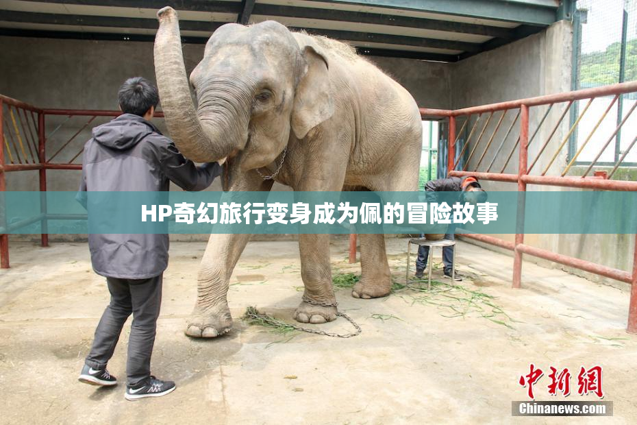 HP奇幻旅行变身成为佩的冒险故事