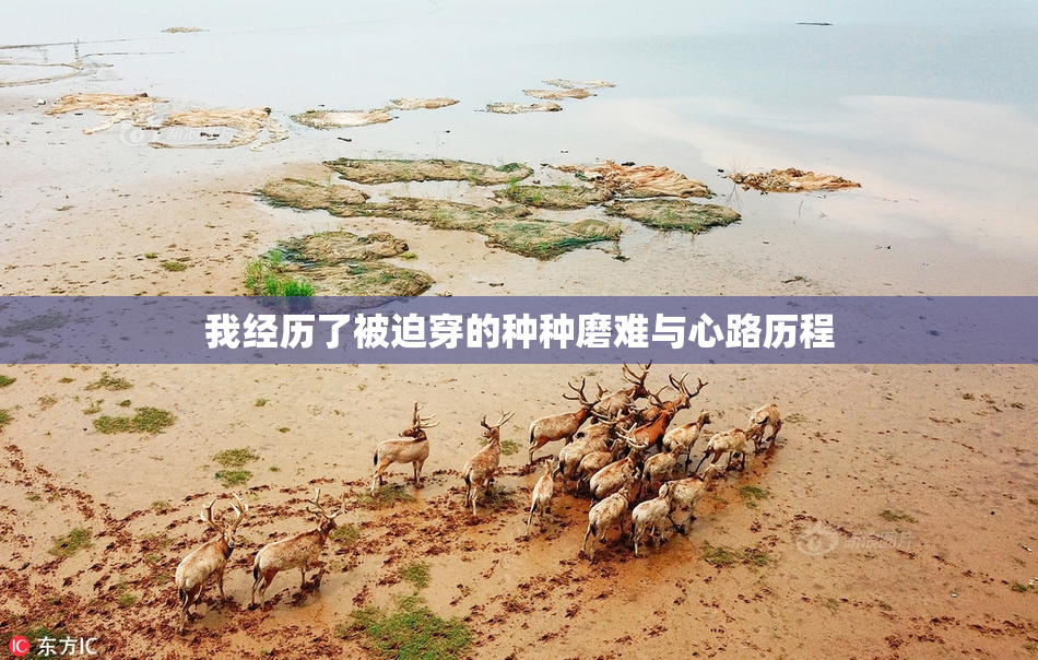 我经历了被迫穿的种种磨难与心路历程