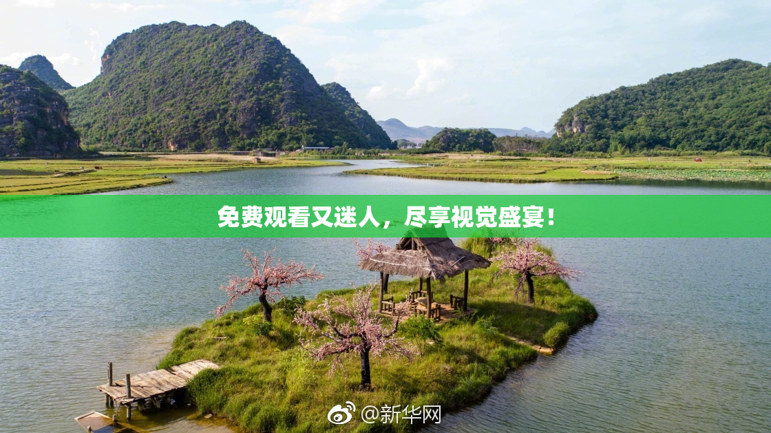 免费观看又迷人，尽享视觉盛宴！