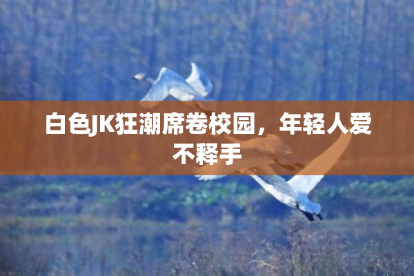 白色JK狂潮席卷校园，年轻人爱不释手