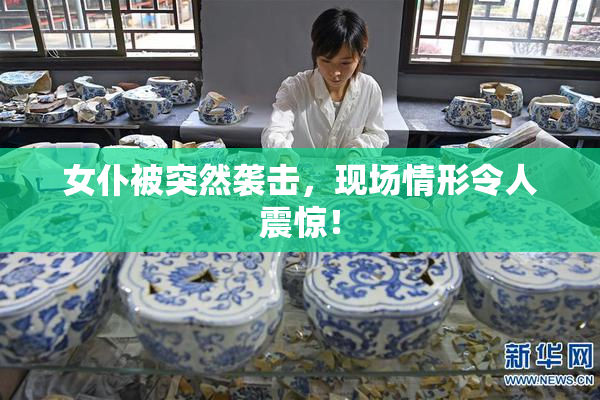 女仆被突然袭击，现场情形令人震惊！